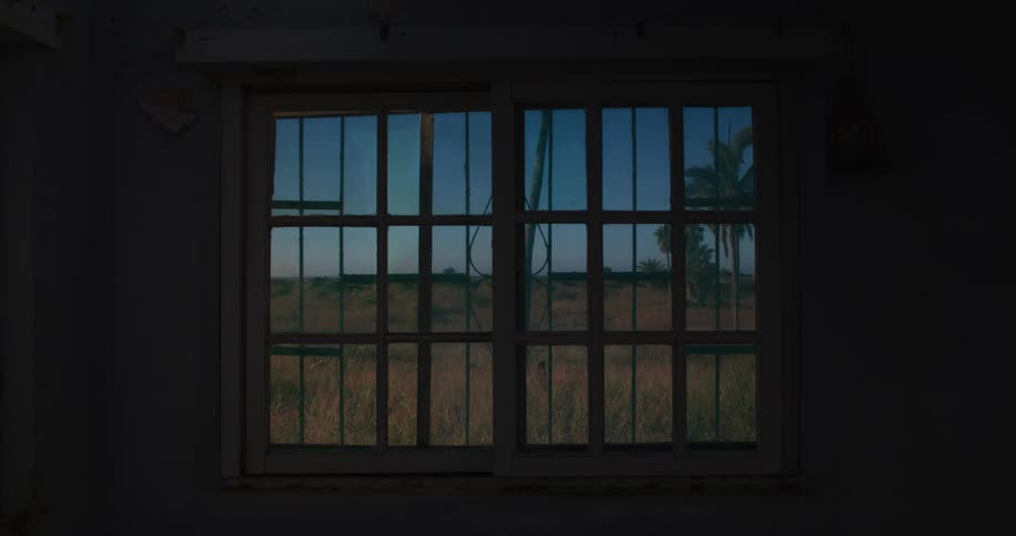 Window view of a person walking in the grass by herself
