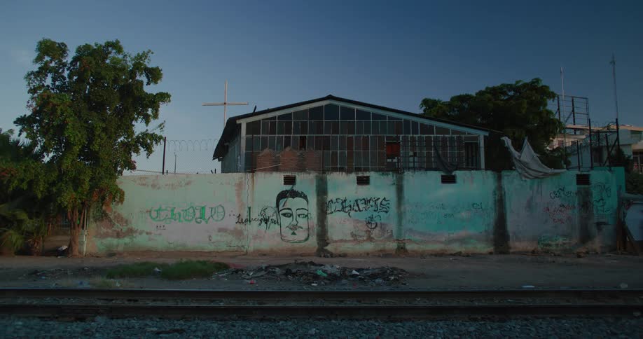 Graffiti is covering a wall in a city during spring time