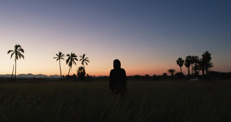 A silhouette of a person standing in a grassland area