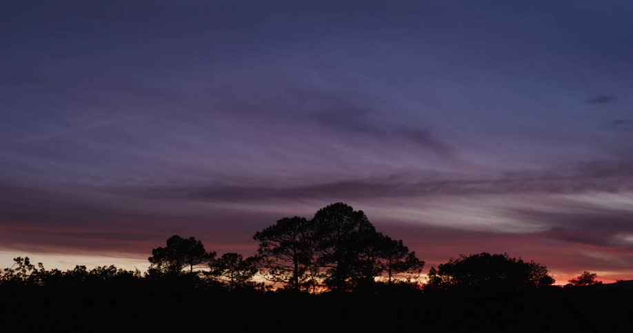 Sun is setting in the horizon of a woodland landscape