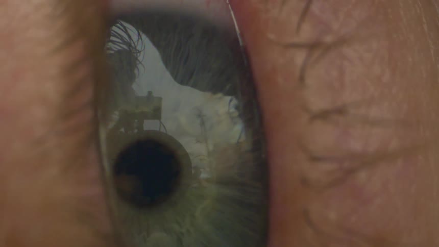 Closeup of an eye with a green iris reflecting a garden scene