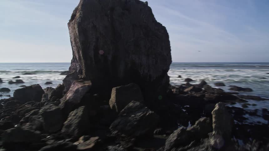 Aerial view of a coastline with large rocks and wildlife visible