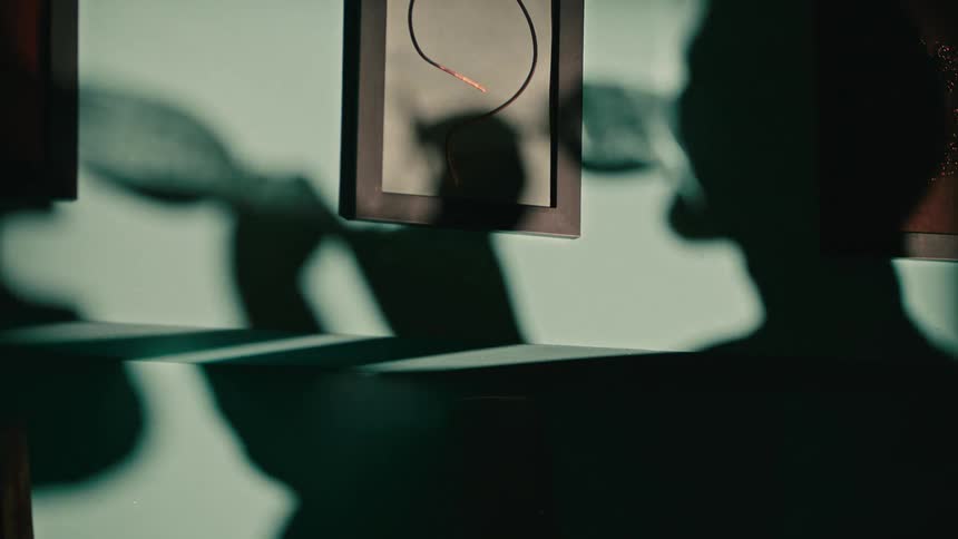 Two people drink wine in silhouette in a home
