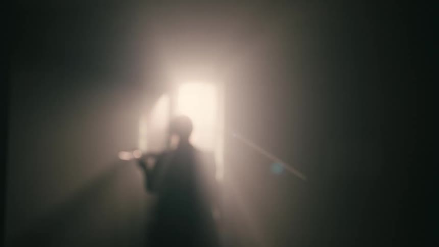 Silhouette of a woman carrying a plate with one hand and in the background a window with reflected sunlight