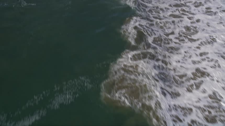Panorama of a sea with foamy waves
