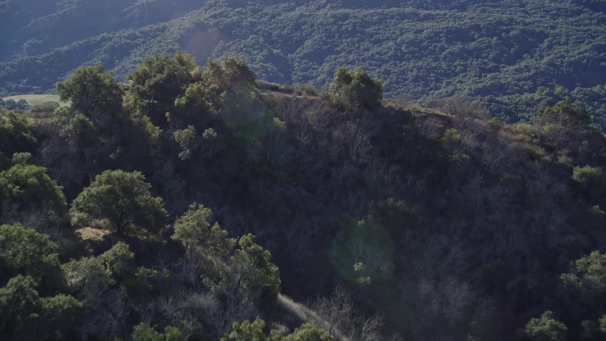 Aerial panorama of mountains with forests and a greenish lake