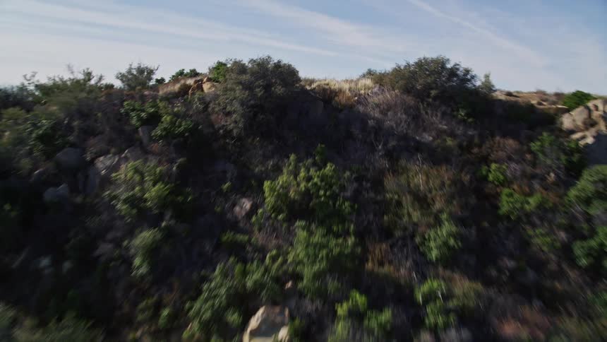 Aerial panorama of forested mountains overlooking an urban city by the sea