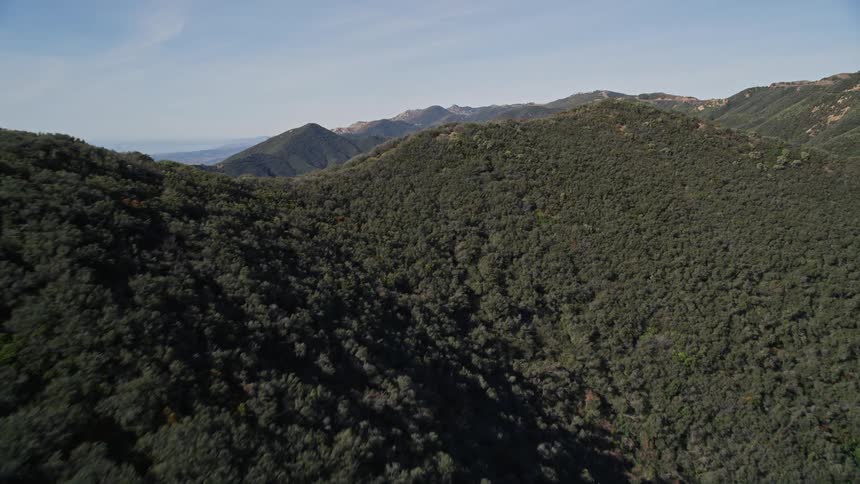 Aerial view of green hills and mountainous terrain with lush vegetation