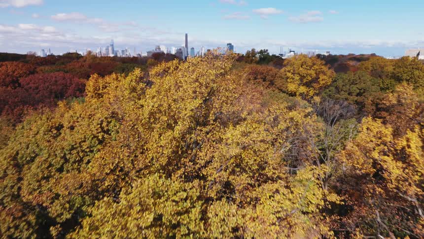 Aerial view of the skyline of the city of new york seen from central park