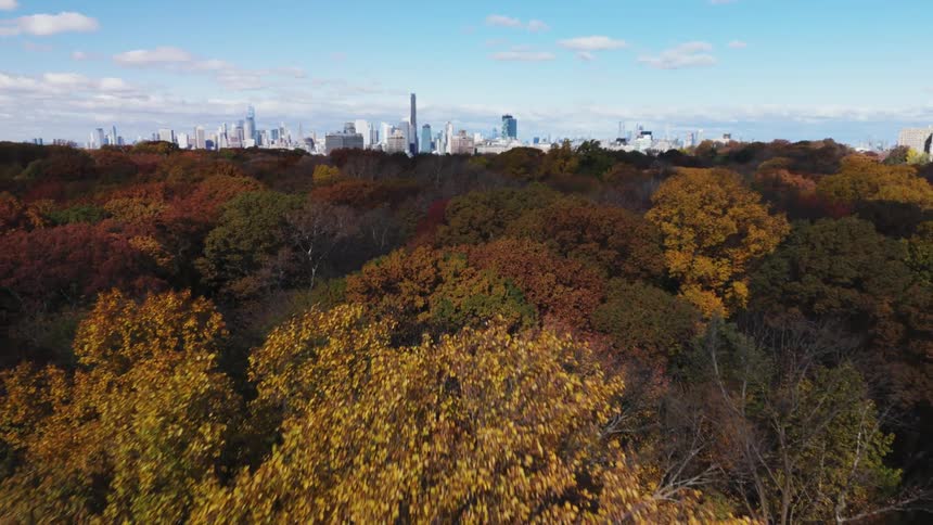 Panorama of a park with spring tree vegetation and in the background a metropolis with a skyscraper