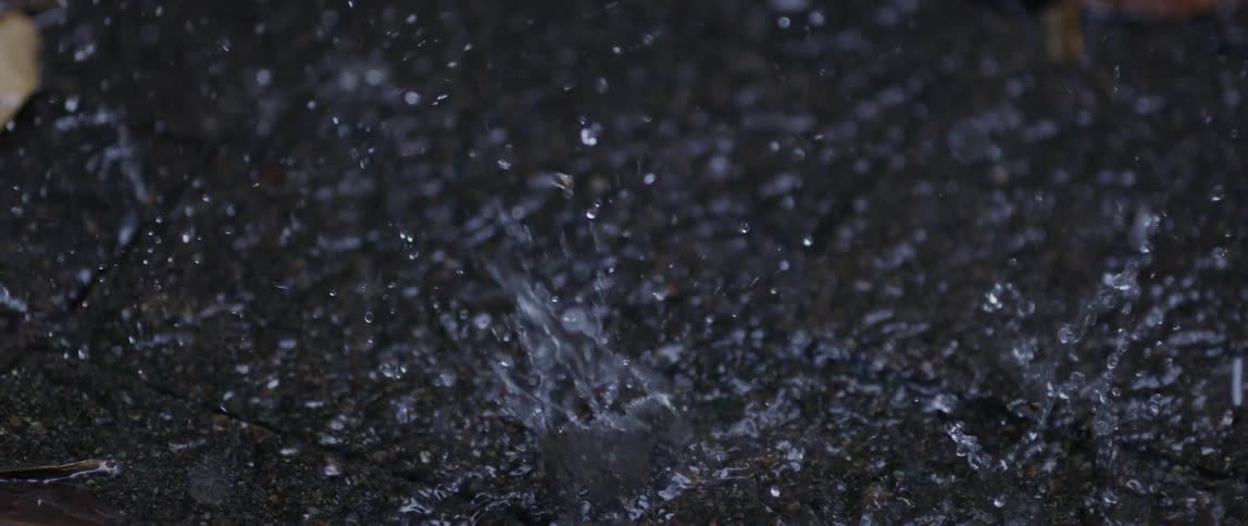 Heavy rain is pouring on the ground