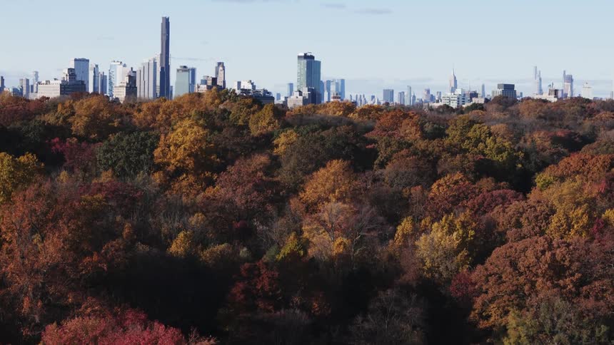Aerial view of the skyline of the city of new york seen from central park