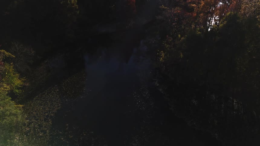 Aerial view of a river on a foggy morning in the forest