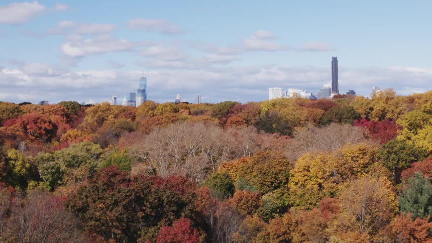 Aerial scenery of a forest park with spring trees and skyscrapers of a metropolis in the background during the day