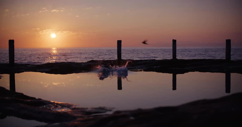 Man standing on the beach dives into the water as a seagull flies overhead and the setting sun glows in the distance