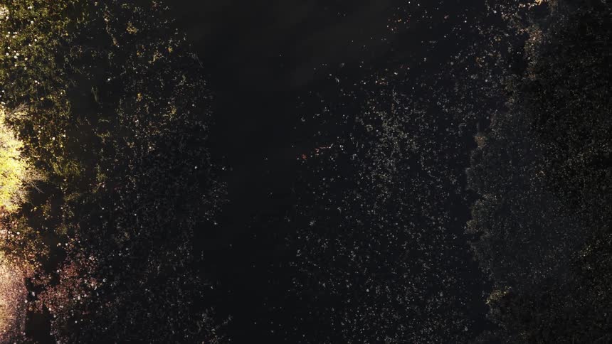 Texture of a black liquid with golden abstract edges