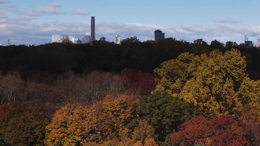 Dense shadows cover the center of the woods bordering the city on a cloudy day during the fall