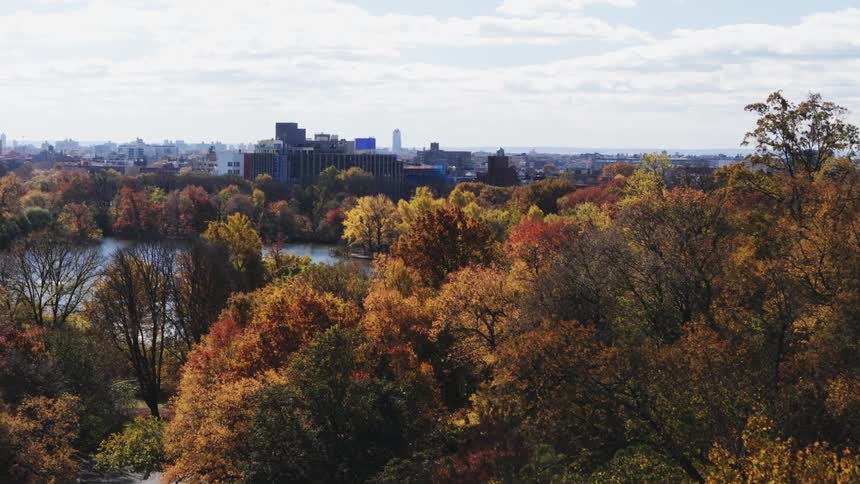 Panorama of spring vegetation with a lake in front and a metropolis on the horizon