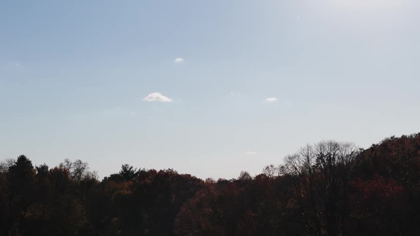 A view of a forest with autumn foliage under a clear sky