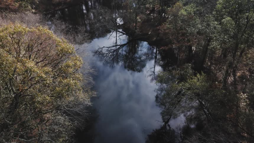 A river flows through an area with many trees and its surface reflects the clouds above