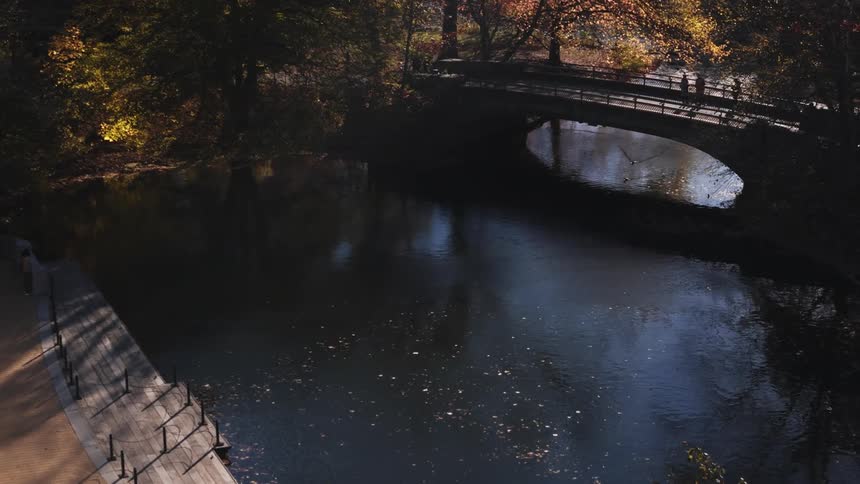 Aerial view of a calm lake and a bridge in a park