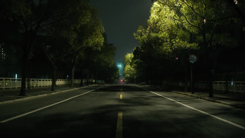 A deserted street at night with trees lining both sides