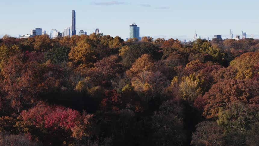 Aerial panorama of a park with spring trees and a metropolis with skyscrapers in the background