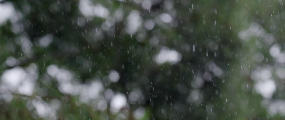 Snow falls outdoors near trees