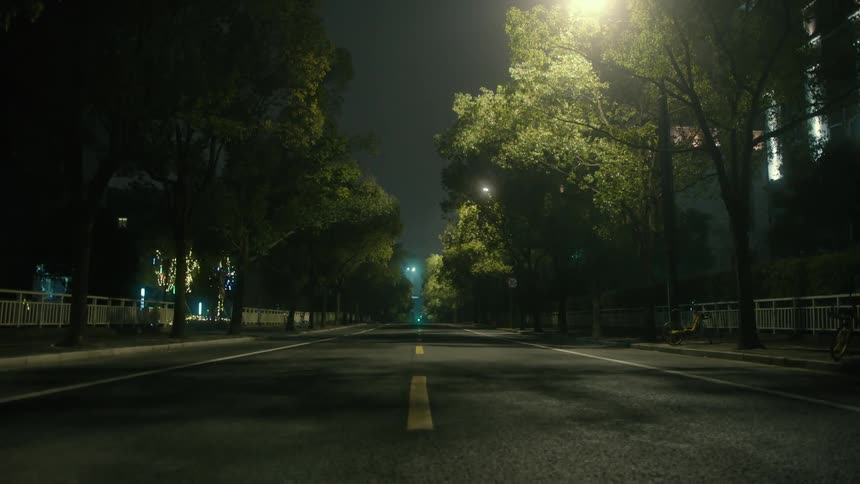 An empty urban city street at night lined with trees
