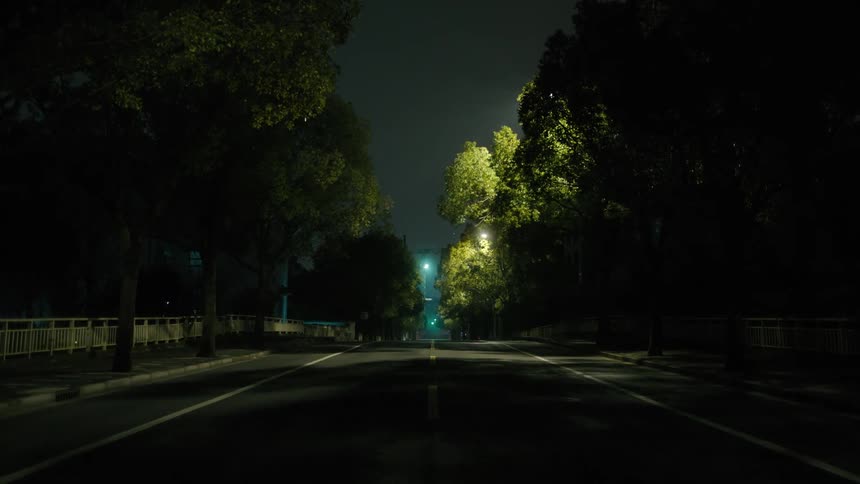 Asphalt street with trees around on an empty night in a metropolis