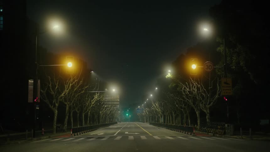 A deserted street at night illuminated by streetlights lined up by trees