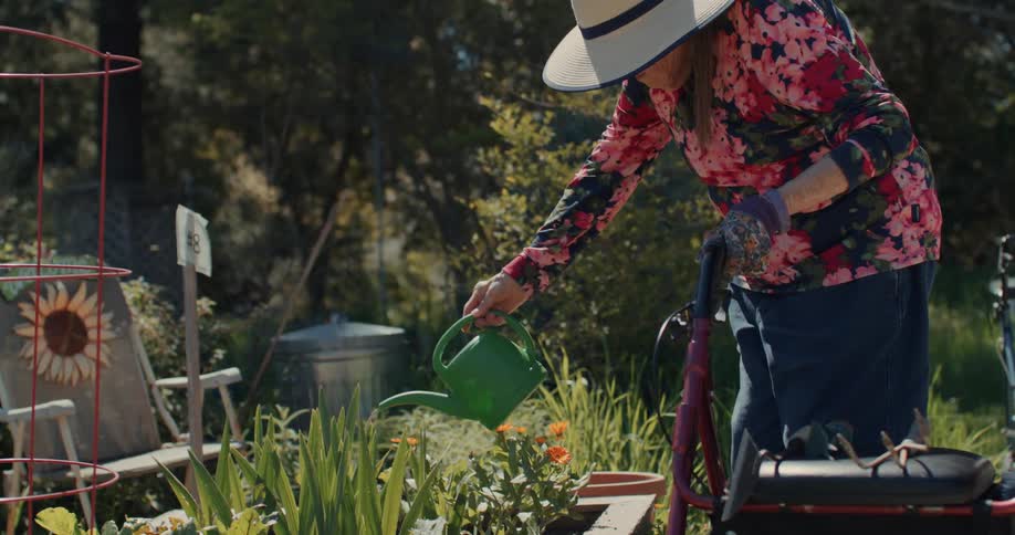 An elderly woman leans on a walker a she waters her garden with a green watering can in slow motion