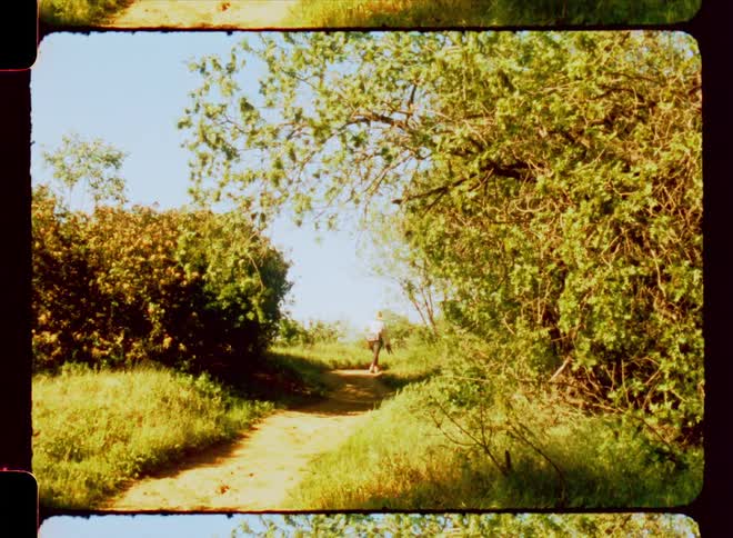 View of a woman walking with two dogs on an outdoor trail