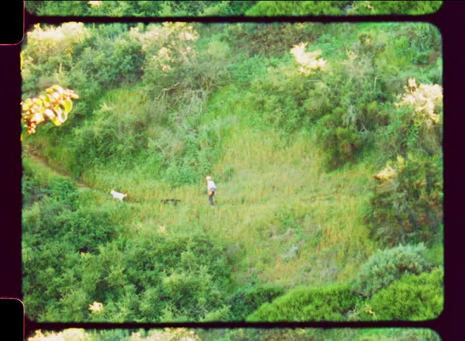 Person and two dogs hiking on trail across grassy hillside