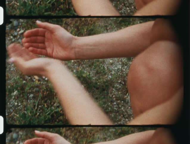 The insect flies from the persons hands