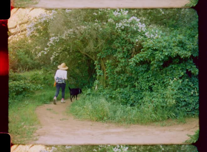 Woman walks along dirt path with pet dogs