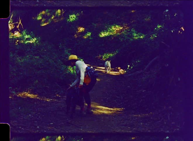 Person wearing hat walks up trail with two dogs