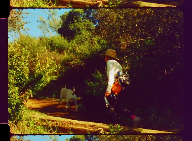 A person and a dog climbing a gentle hill caught on vintage film