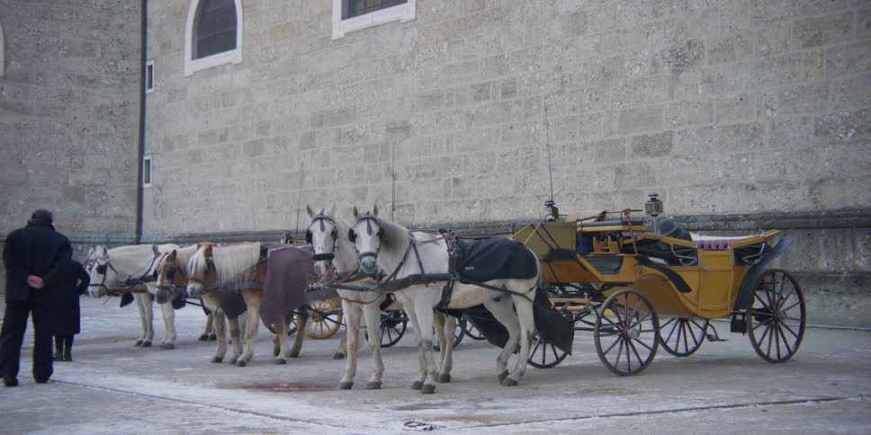 Horse-drawn carriages awaiting tourists in Salzburg, Austria
