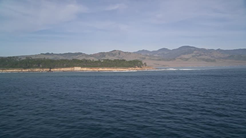 The forest is on the shore of the island