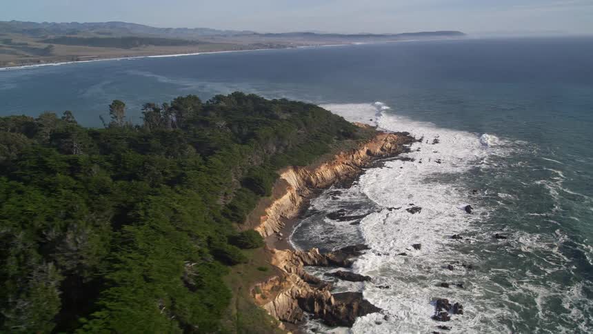 Forest on a rocky coast by the sea