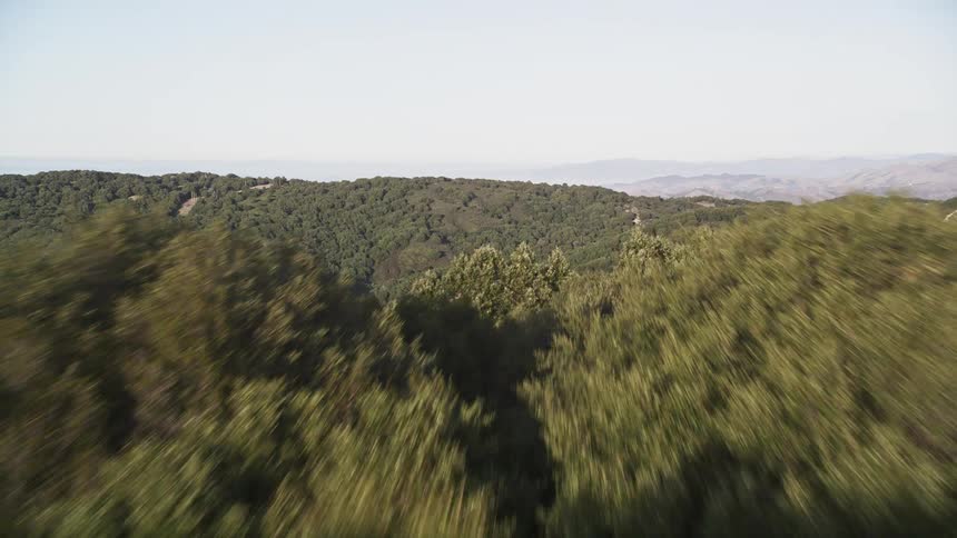 Forests give way to a deep mountain valley
