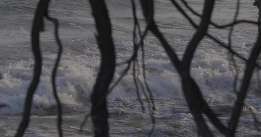 Wave crashing on the beach