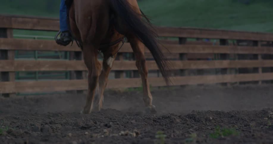 A person riding a horse