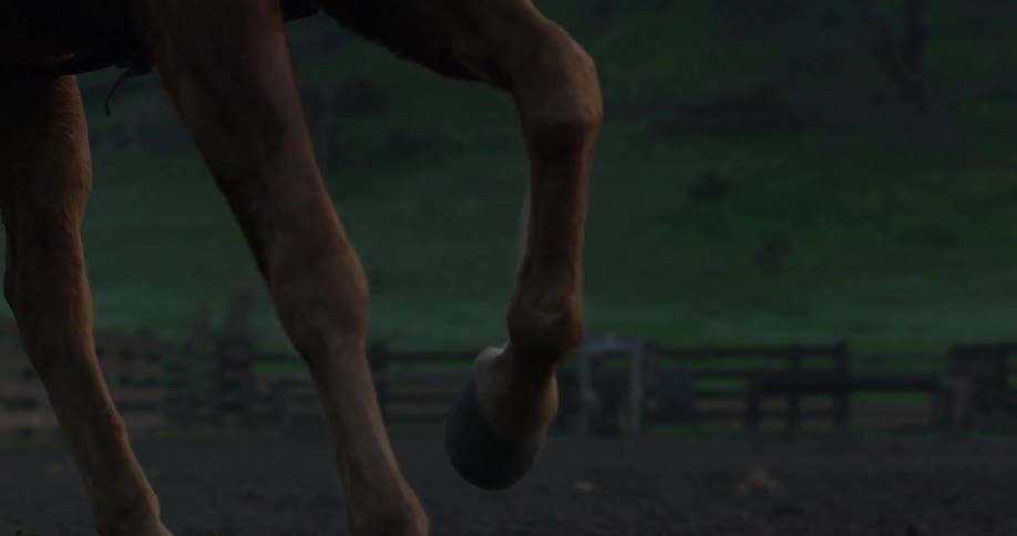 A person riding a horse