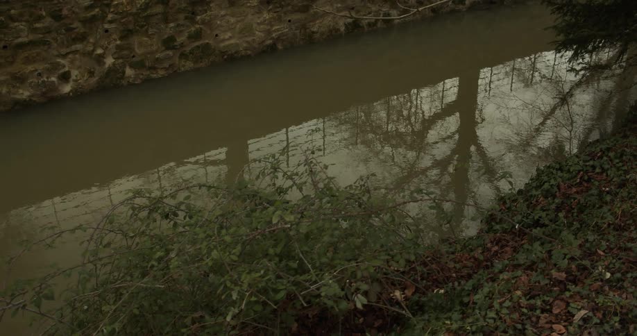Lake reflecting surrounding trees and vegetation with a wall on the side in a park