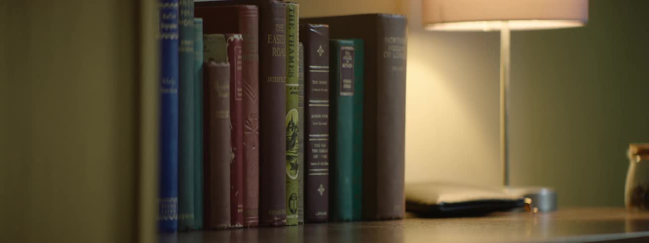 A row of books sits on a desk near a lamp