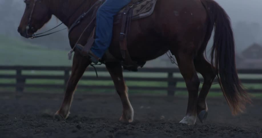 A man riding a horse