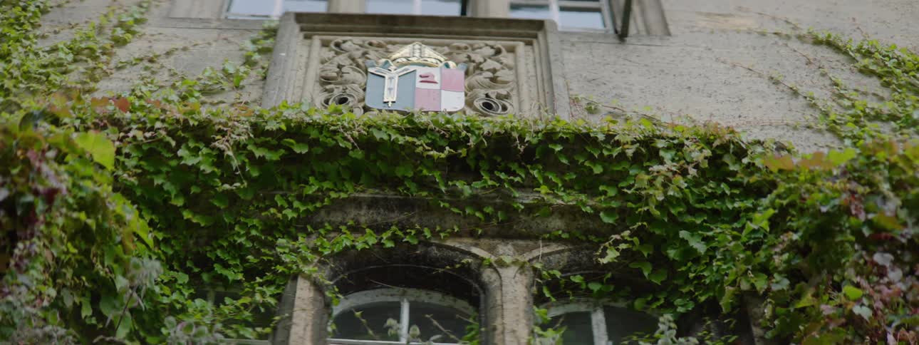 Exterior architecture of the facade of a building with rustic windows and plants and foliage on the wall