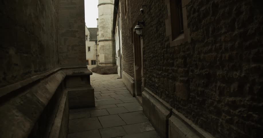 A narrow cobblestone alleyway leads to a large building